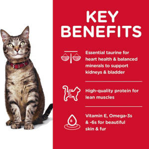 Hill's Science Diet Dry Cat Food - Adult Chicken Recipe | Optimal Nutrition for Your Feline